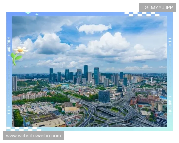 万博2025：推动城市发展与国际交流的重大平台建设